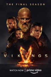 Vikings Season 1-6 (2020) Vikings Season 1-6 (2020)