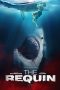 The Requin (2022)