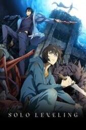 Solo Leveling Anime (2024) Solo Leveling Anime (2024)