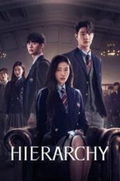 Hierarchy (2024) Hierarchy (2024)