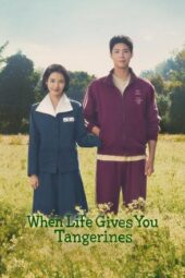 When Life Gives You Tangerines (2025) When Life Gives You Tangerines (2025)