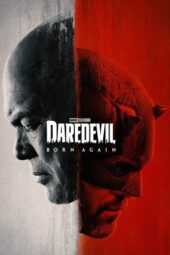 Daredevil: Born Again (2025) Daredevil: Born Again (2025)